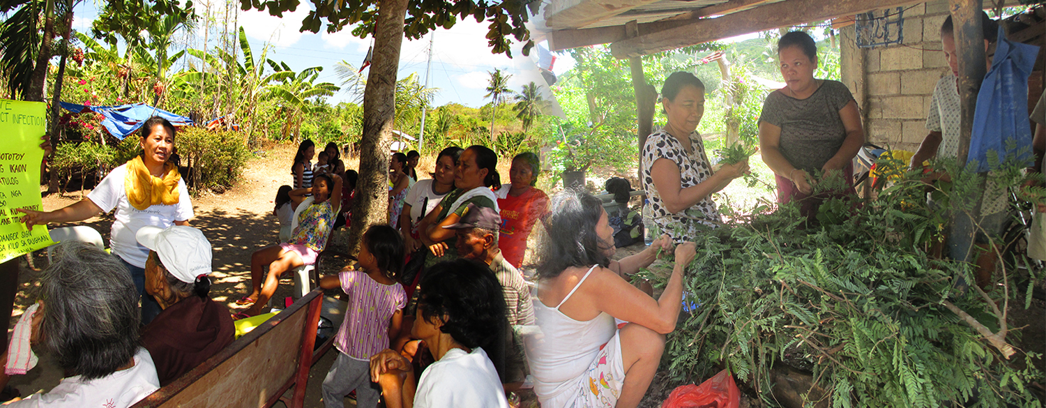 Community health education on dengue fever in Gibitngil, Medellin 		 / Mothers prepare  lagundi cough syrup in Dalingding Norte, Daanbantayan